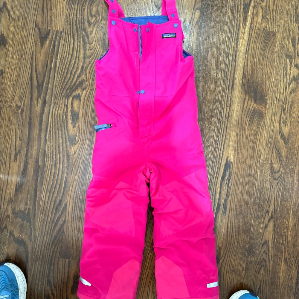 Hot pink Patagonia ski bib. It has adjustable straps that snap. Size XS.